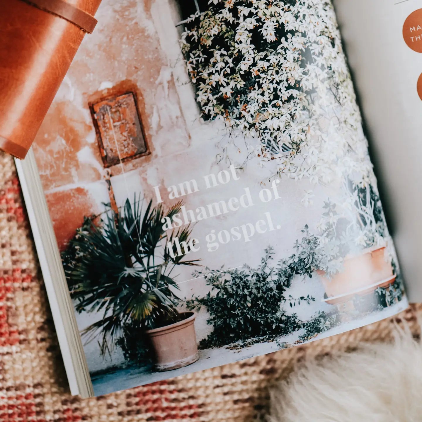 The Story of Redemption | Volume 4 Bible Study - Michigan Southern Charm
