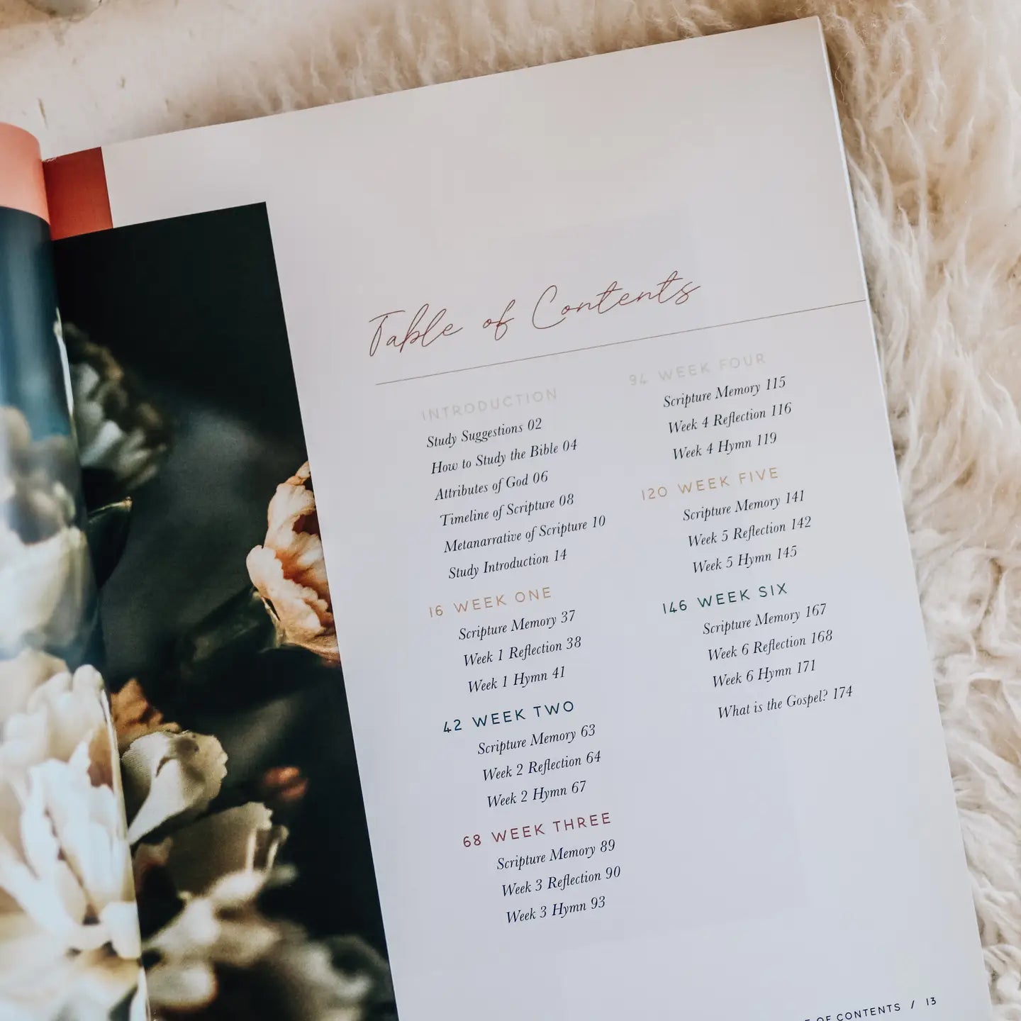 Praise Bible Study | Psalms 91-120 - Michigan Southern Charm