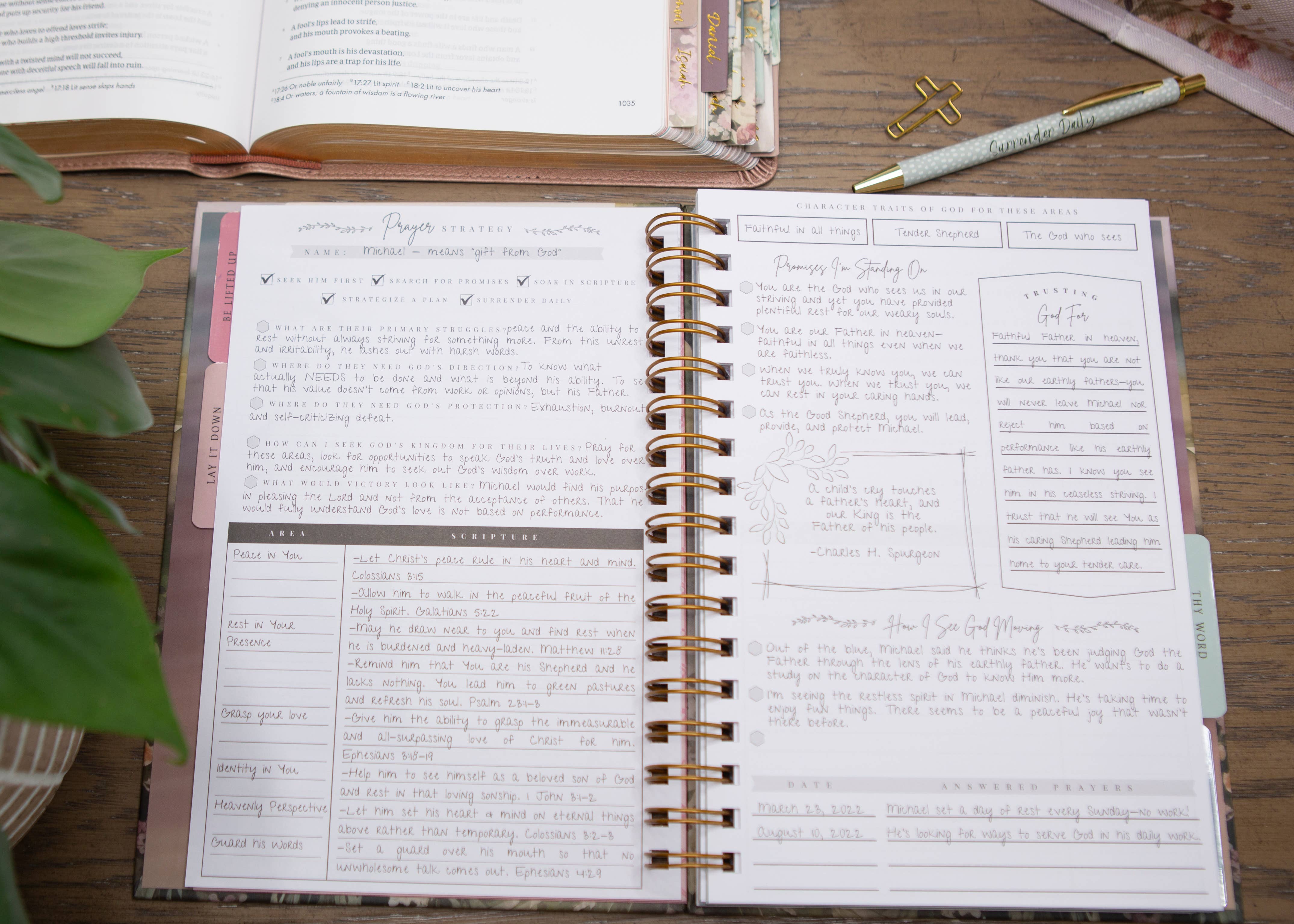New Mercies Prayer Journal for Women