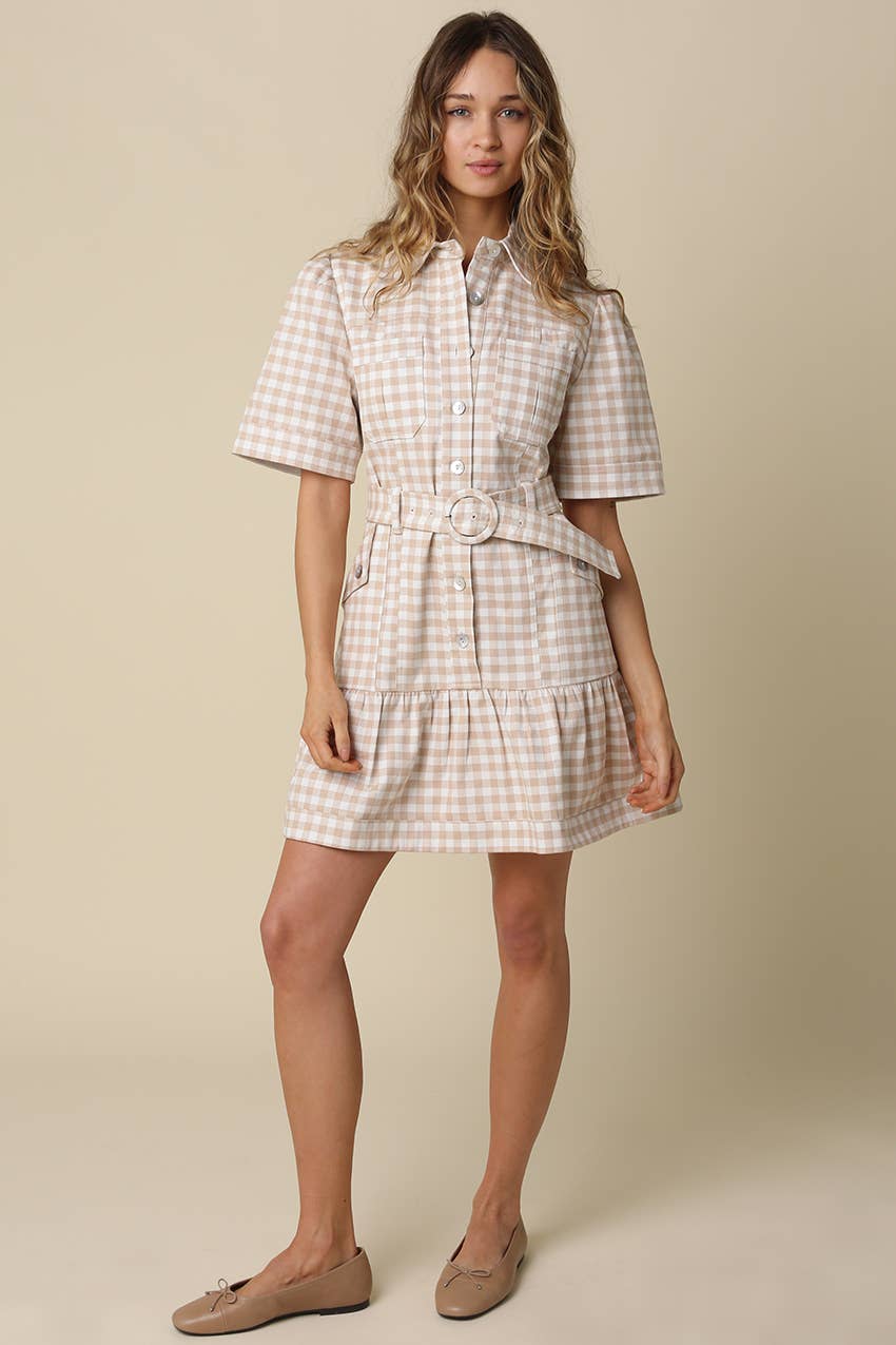 Eliza Gingham Belted Shirt Dress