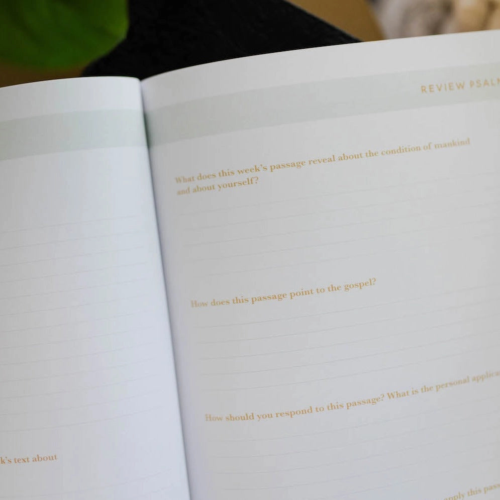 He Leads Me Bible Study - Michigan Southern Charm