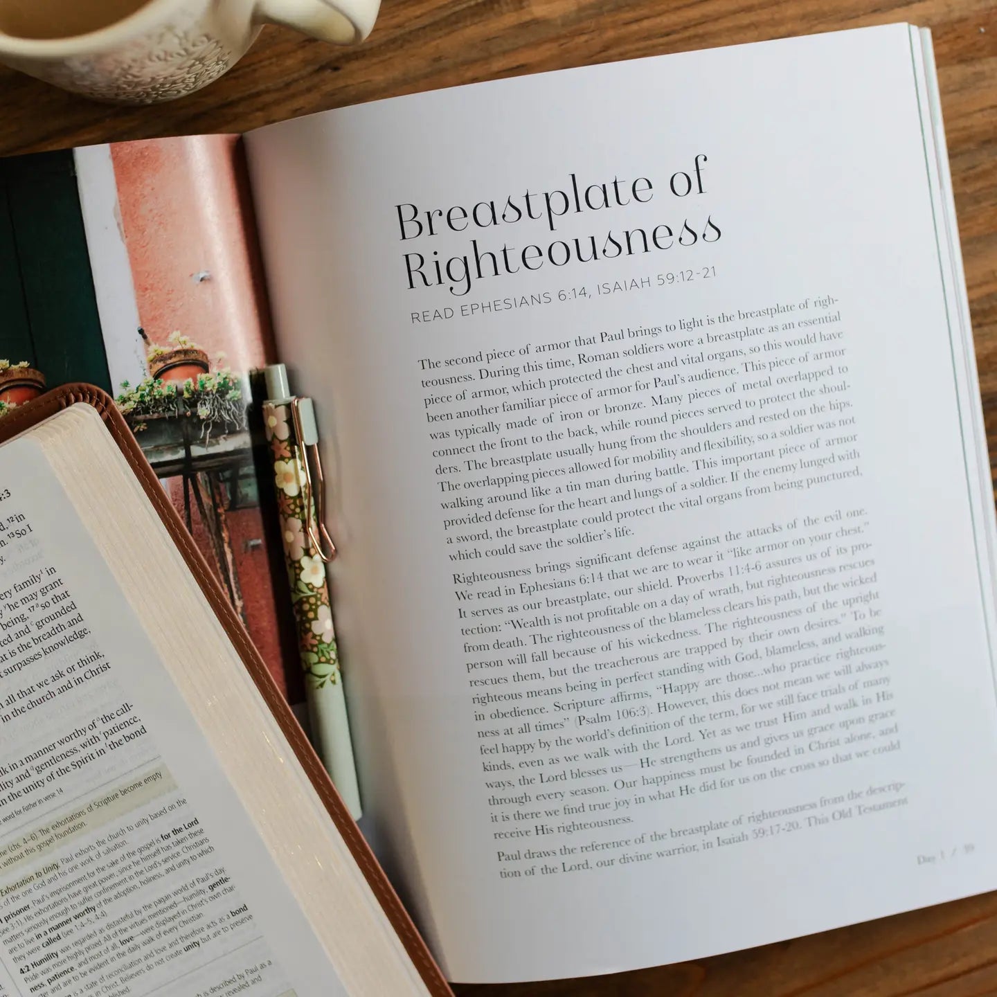 Stand Firm | Armor of God Study - Michigan Southern Charm