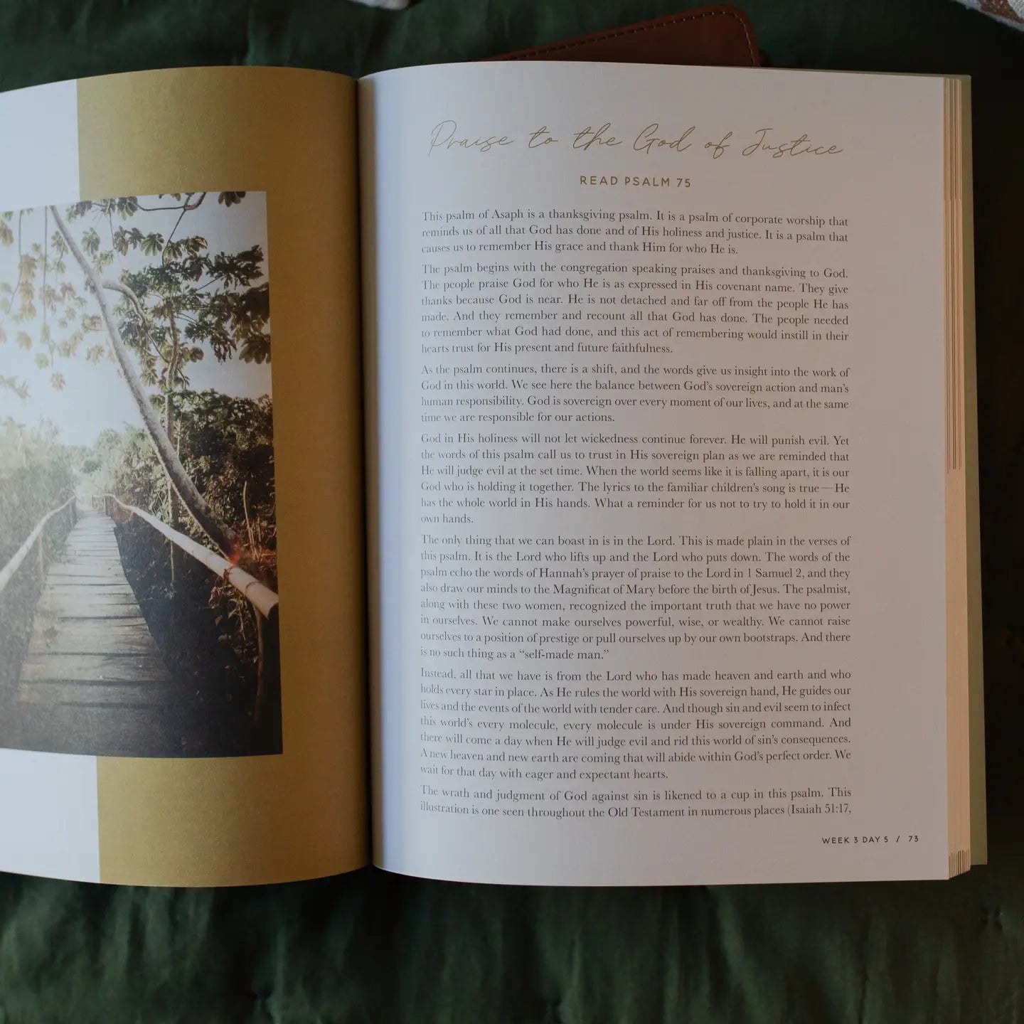 Seek | 6 Week Bible Study | A Walk Through Psalms 61-90 - Michigan Southern Charm