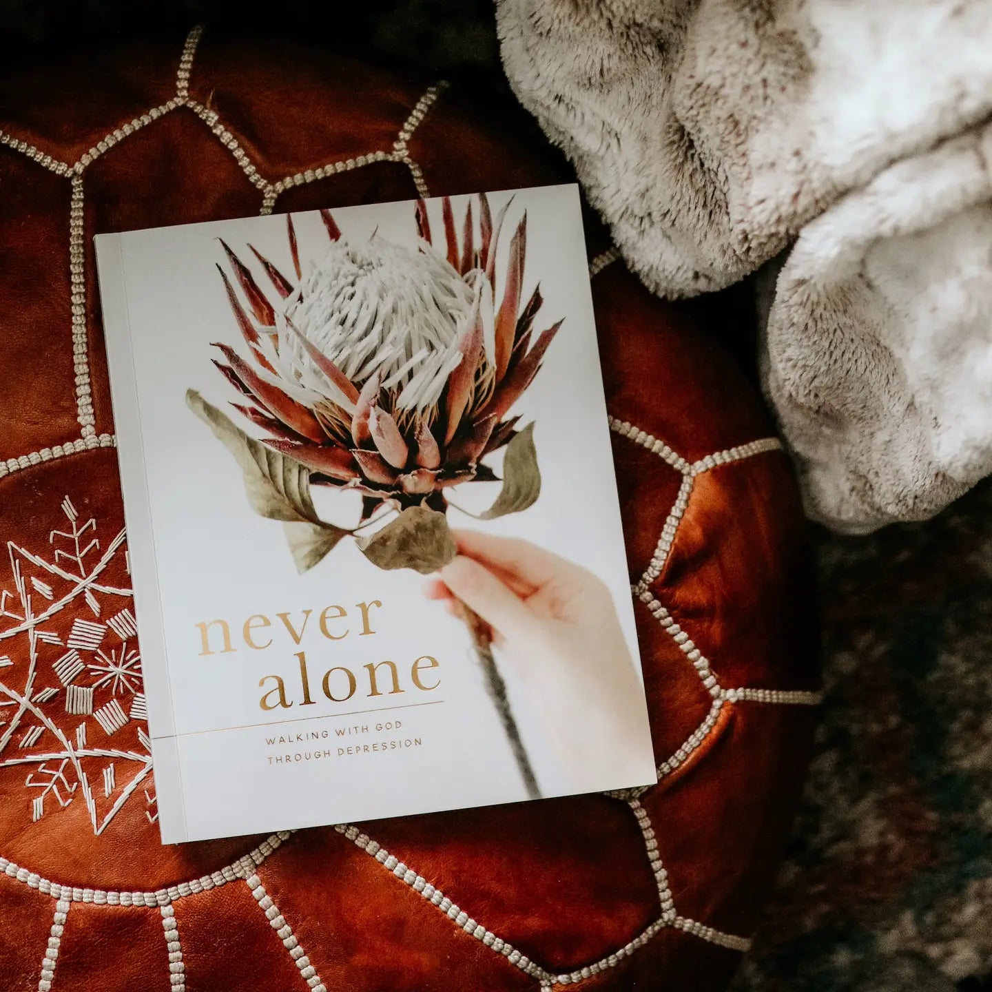 Never Alone Bible Study - Michigan Southern Charm