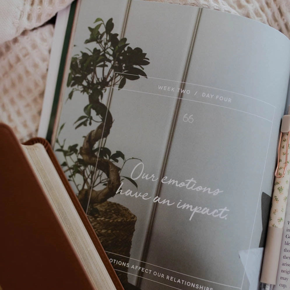 Emotions and the Heart Bible Study - Michigan Southern Charm