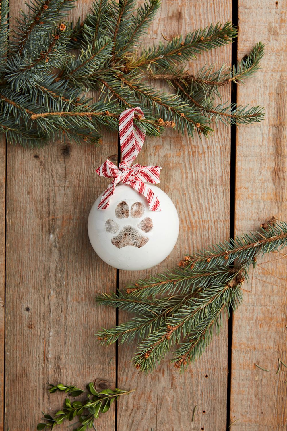 Paw Print Ornament Kit