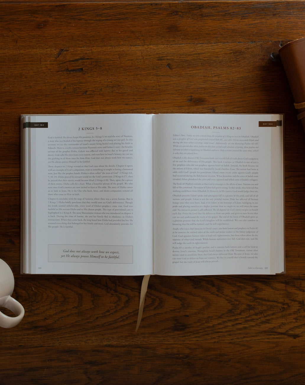 Eden To Eternity 365-Day Devotional