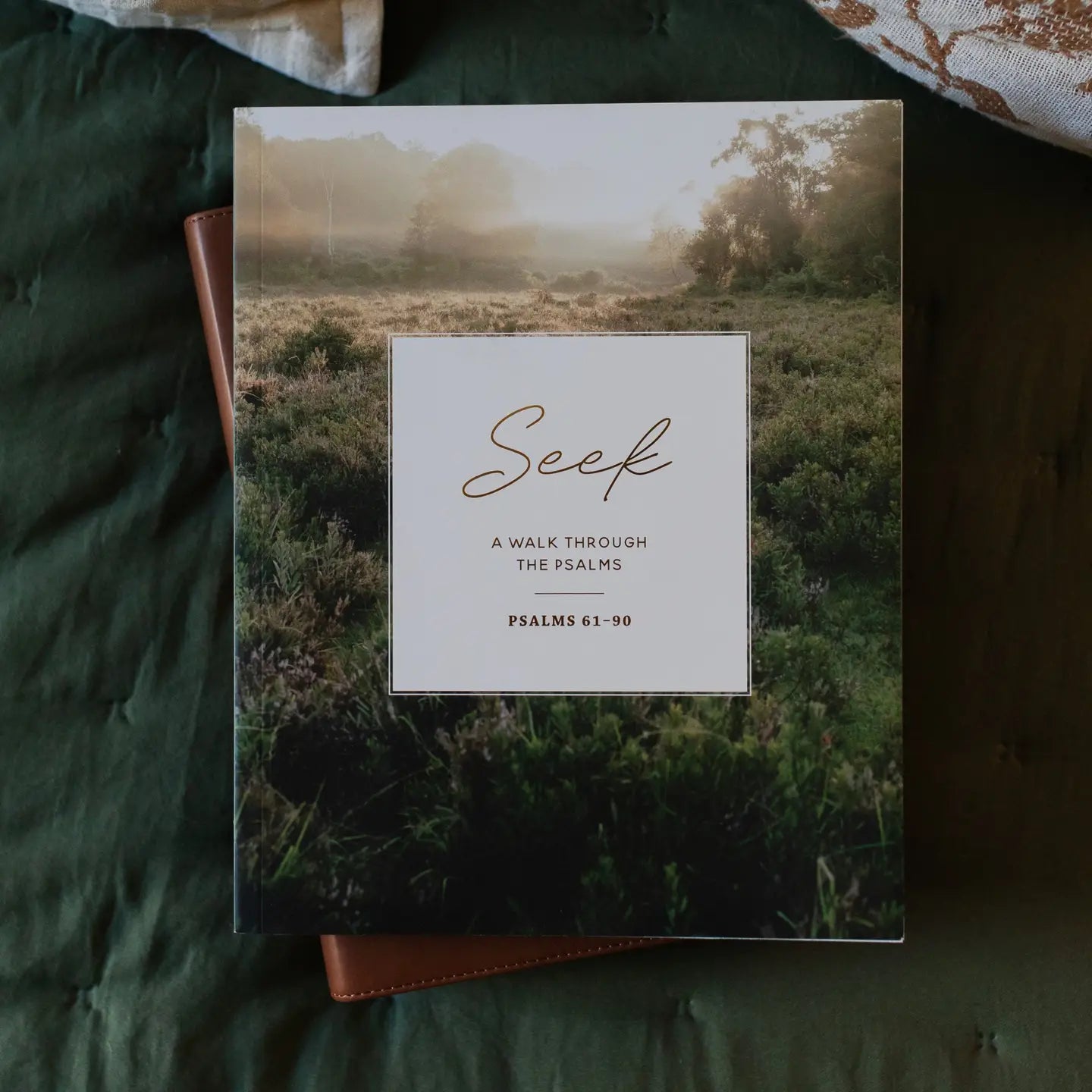 Seek | 6 Week Bible Study | A Walk Through Psalms 61-90 - Michigan Southern Charm