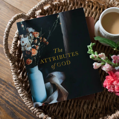 The Attributes of God Bible Study - Michigan Southern Charm