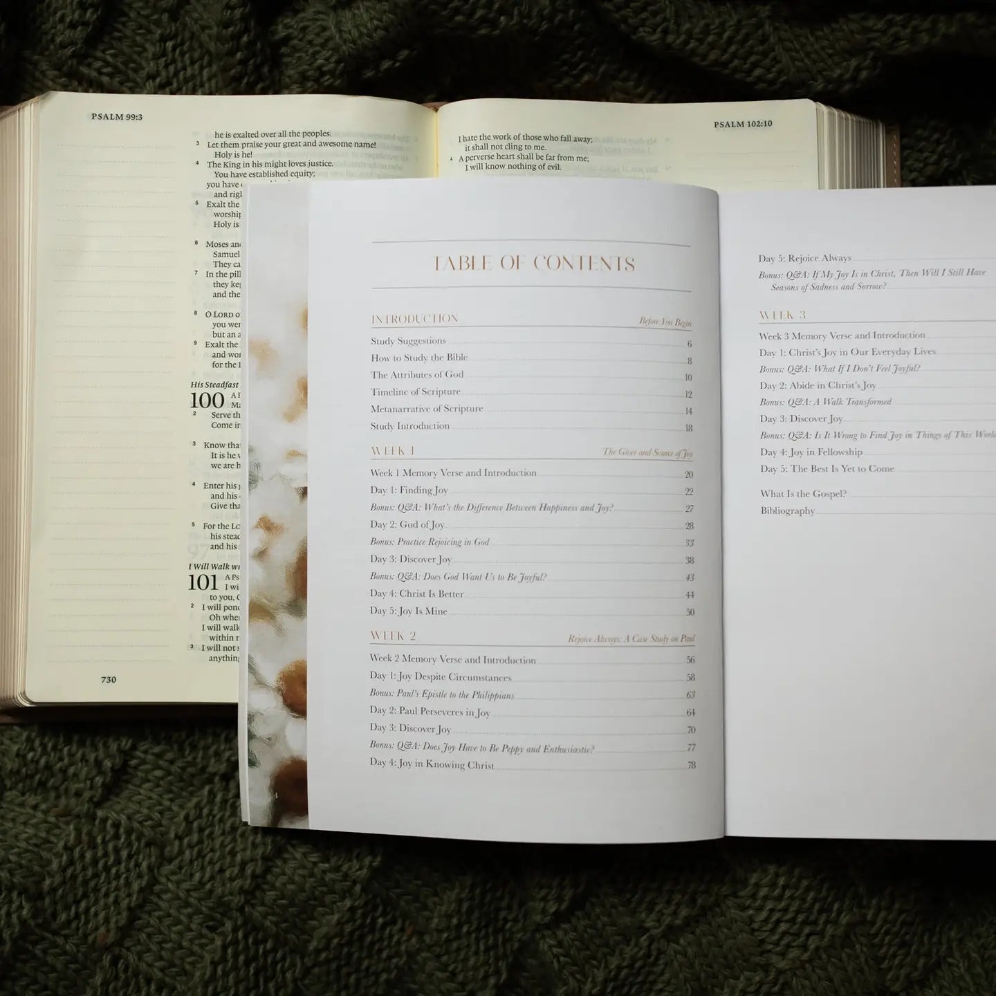 A Joy That Endures Bible Study - Michigan Southern Charm
