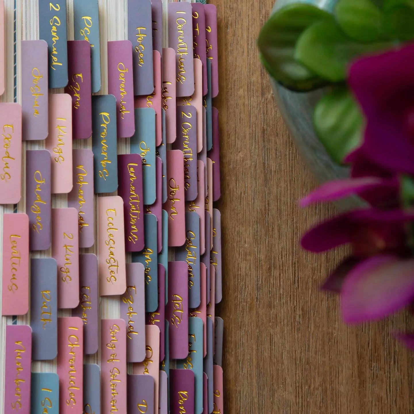 Ombre Bible Index Tabs | Colorful Bible Tabs - Michigan Southern Charm