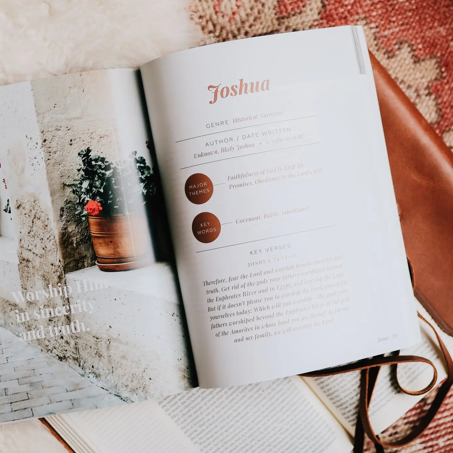 The Story of Redemption | Volume 1 Bible Study - Michigan Southern Charm
