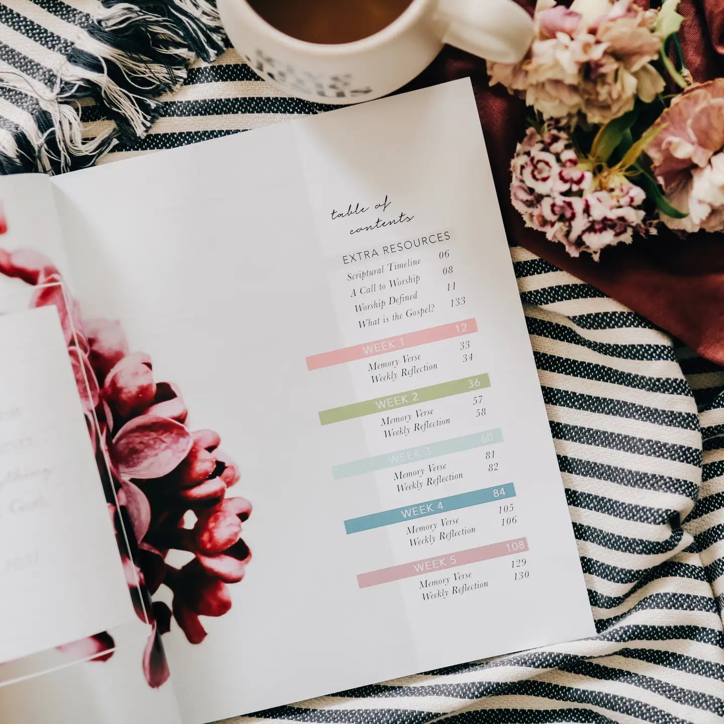 Worship Bible Study - Michigan Southern Charm