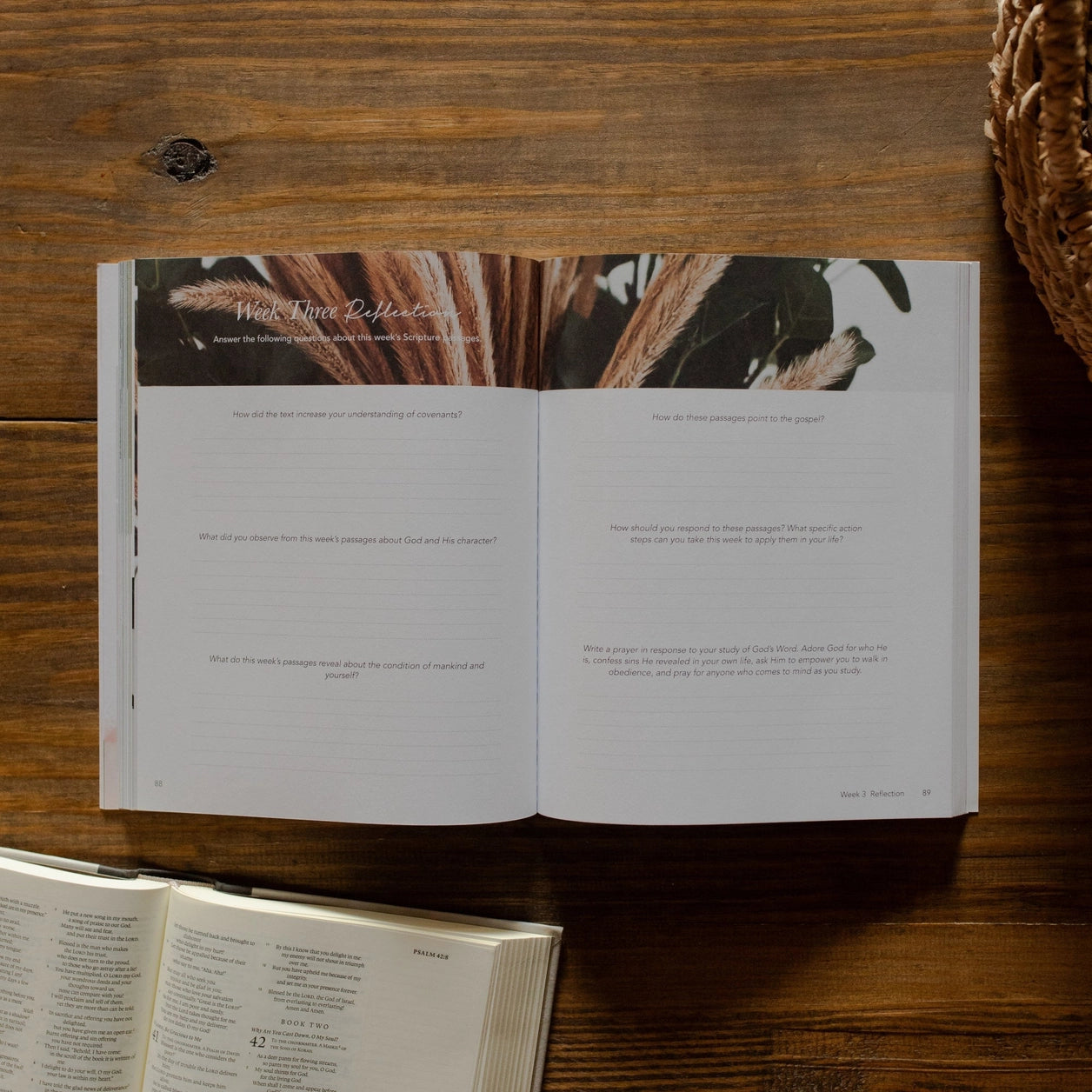 Faithful Bible Study - Michigan Southern Charm