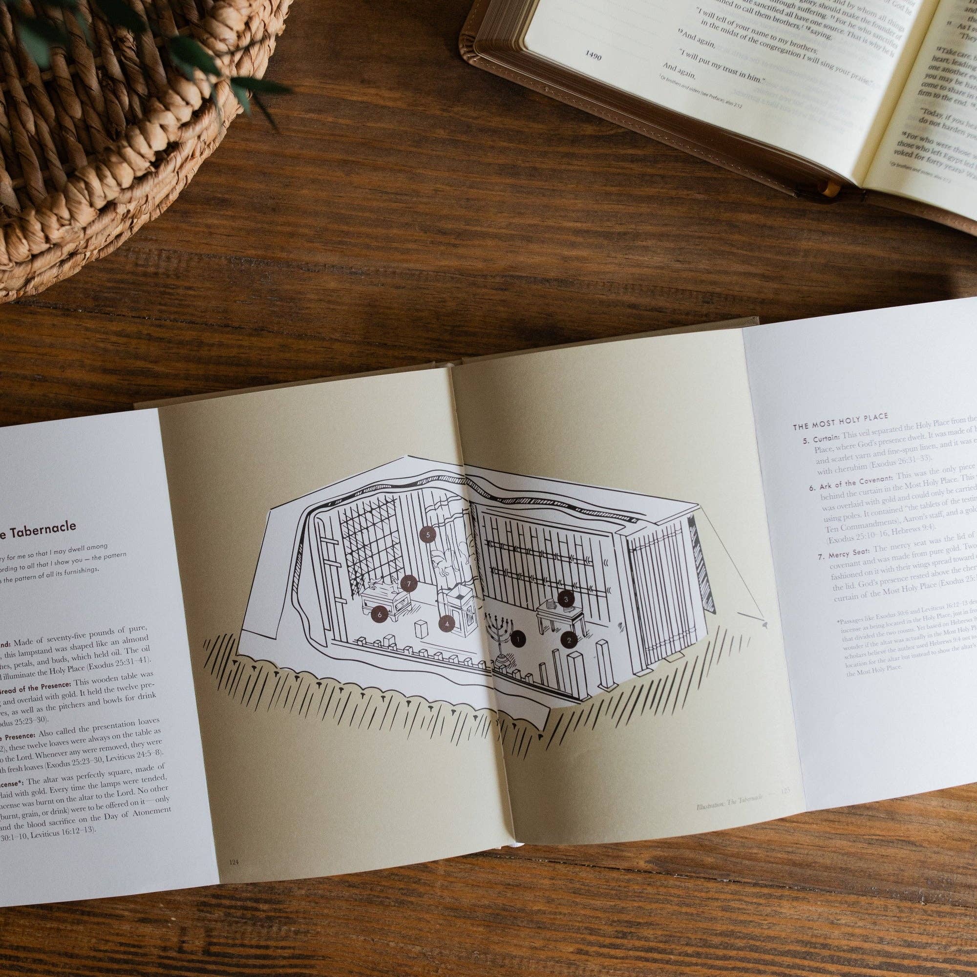 Jesus is Better Hardcover Bible Study