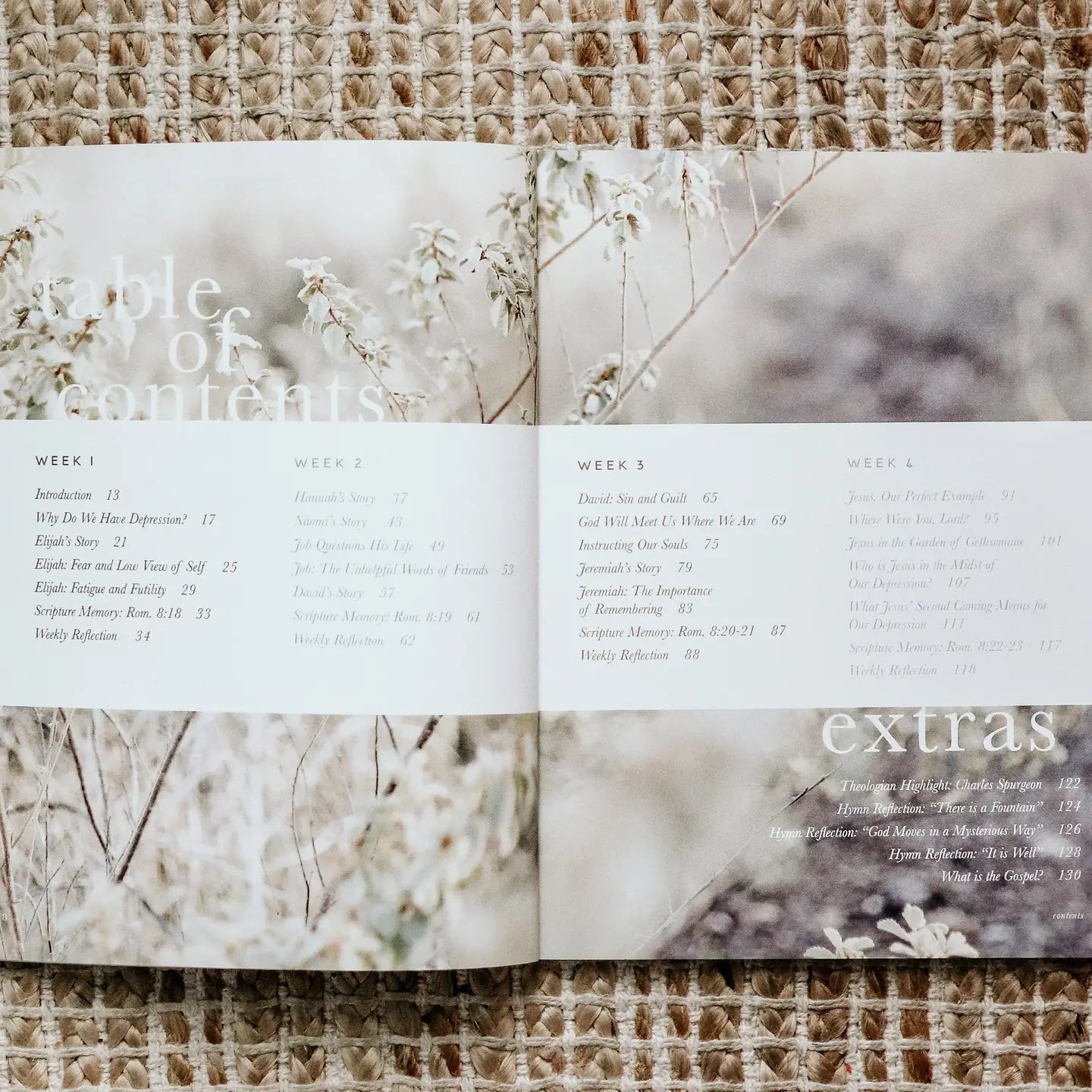 Never Alone Bible Study - Michigan Southern Charm