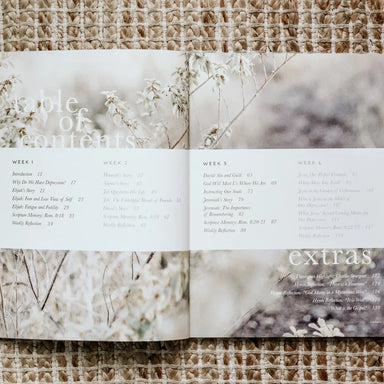 Never Alone Bible Study - Michigan Southern Charm