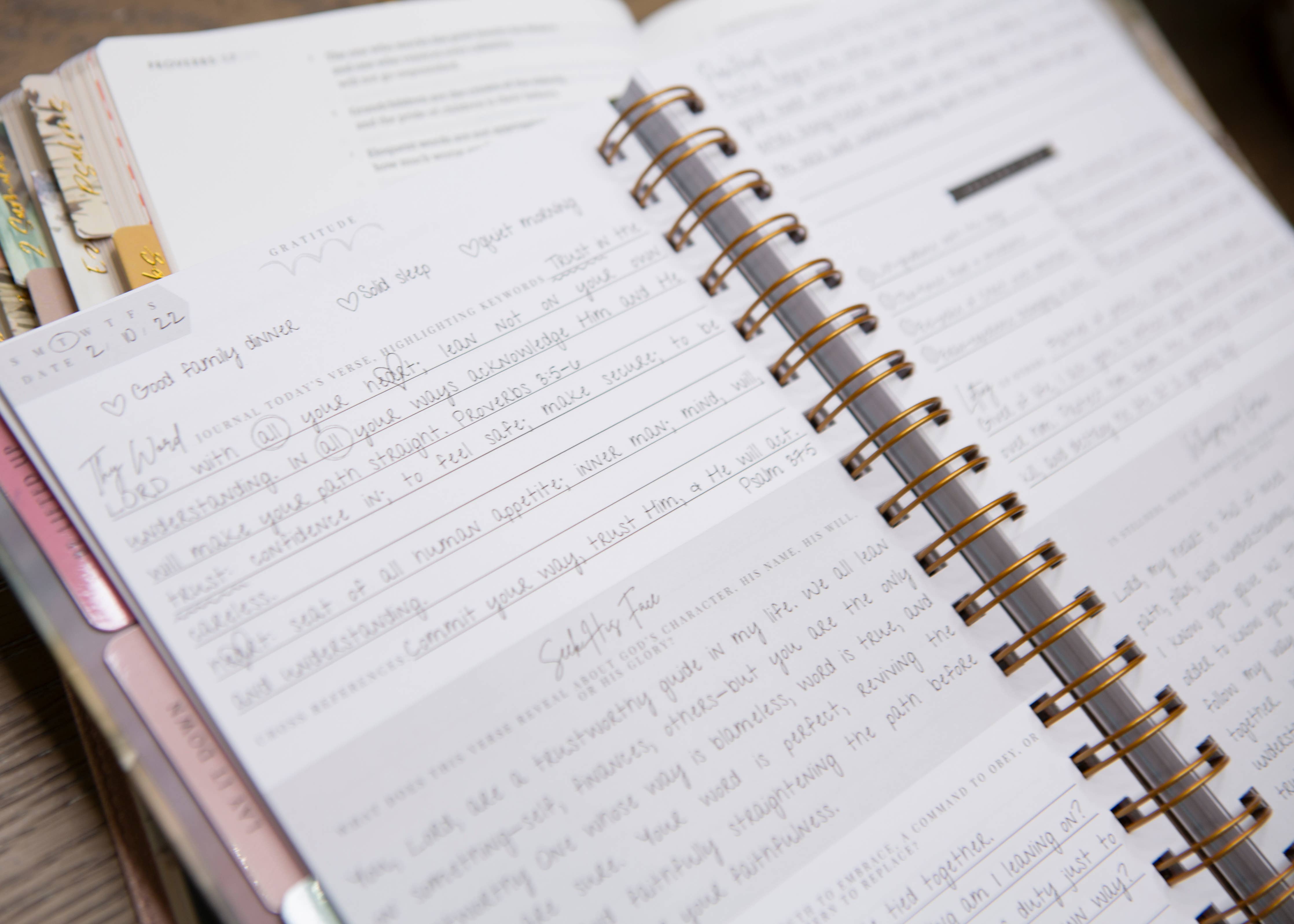 New Mercies Prayer Journal for Women