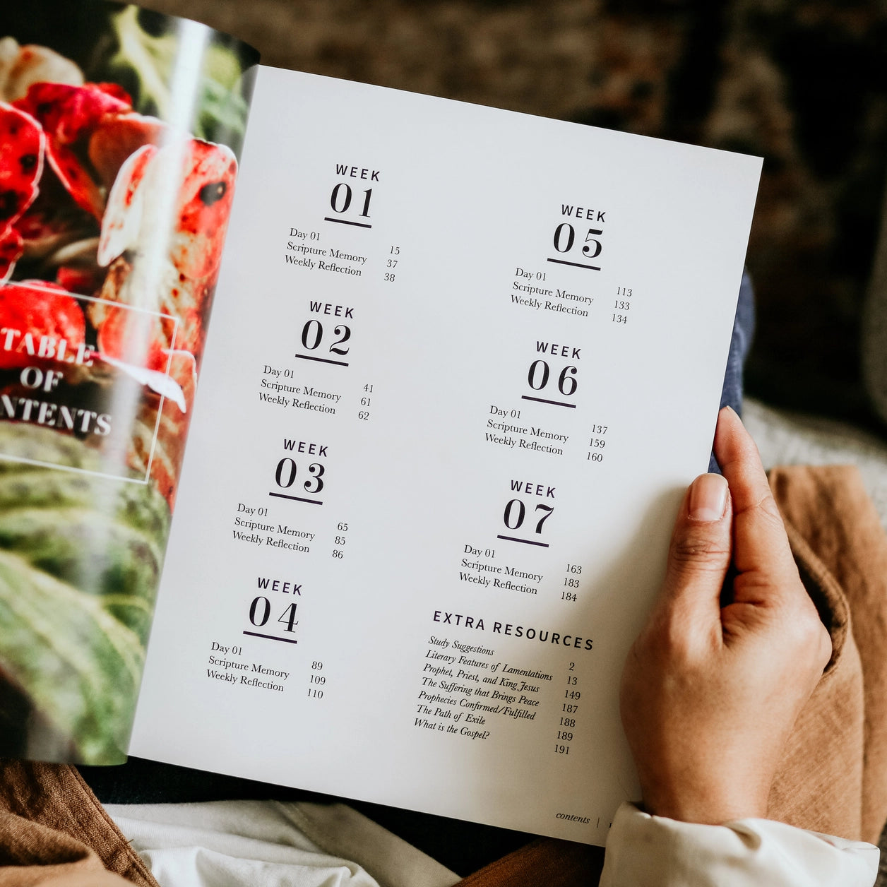 Between Grief and Glory Bible Study - Michigan Southern Charm