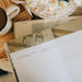 Journey To Freedom Bible Study - Michigan Southern Charm