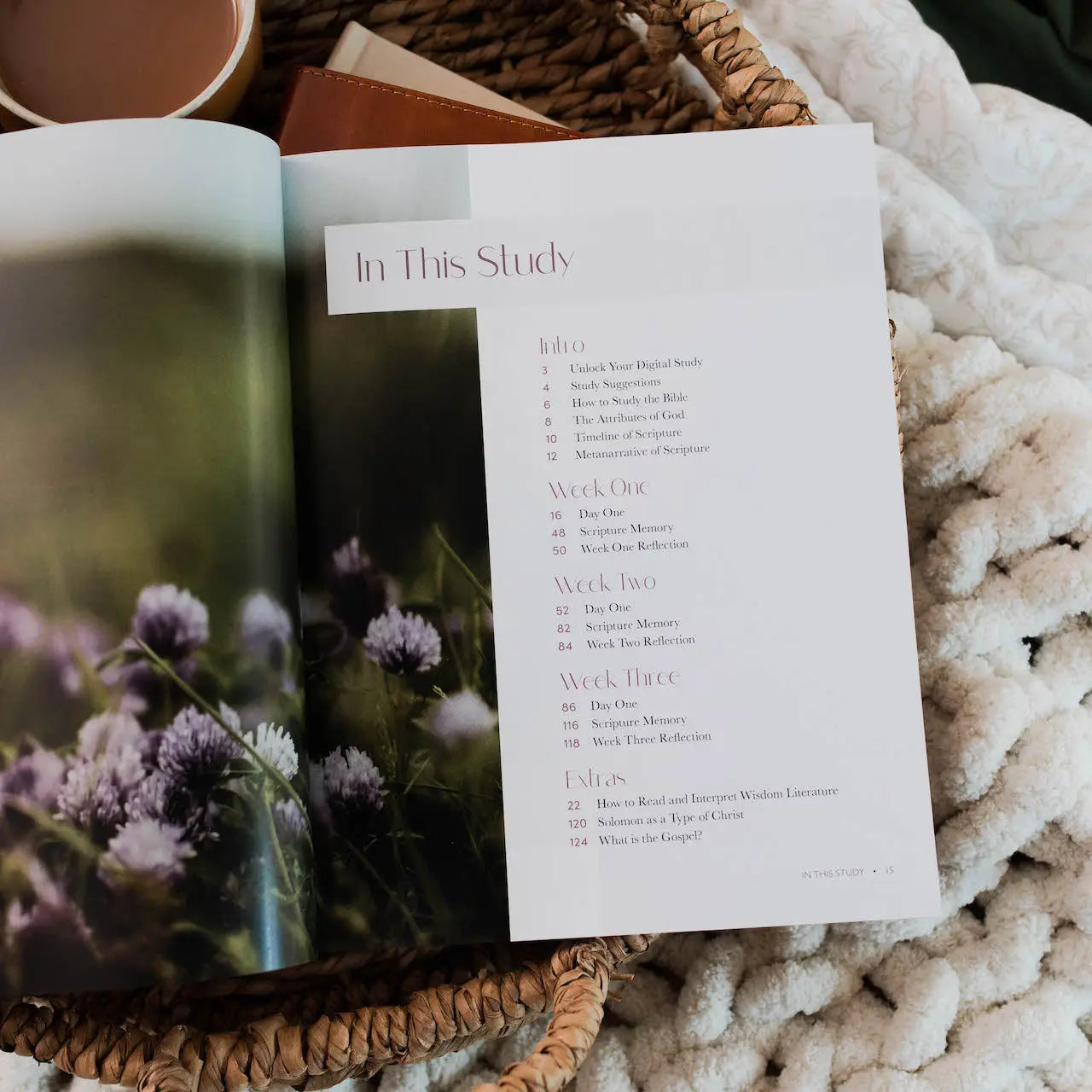 Path To Purpose Bible Study - Michigan Southern Charm