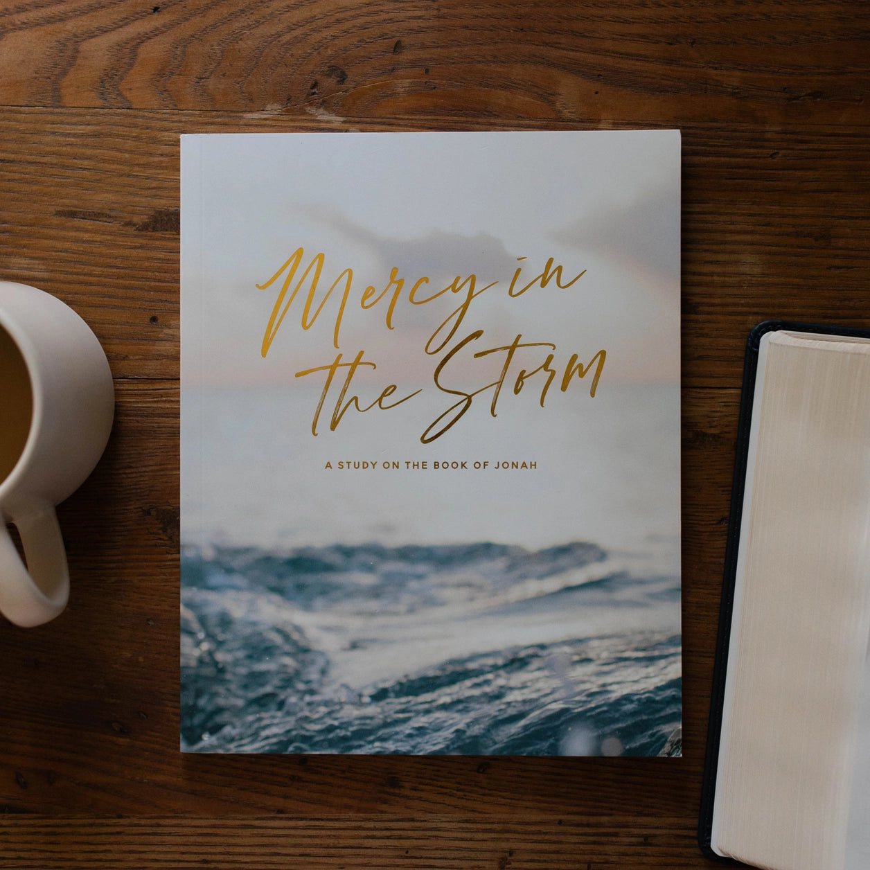 Mercy in the Storm Bible Study - Michigan Southern Charm