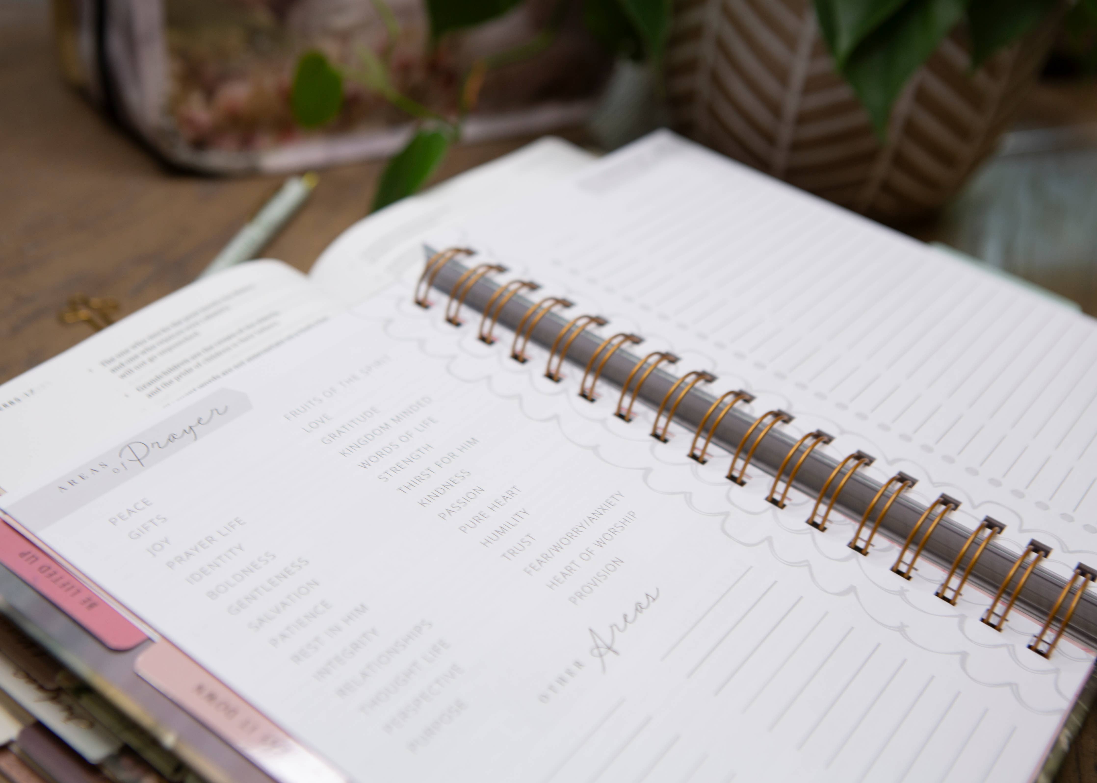 New Mercies Prayer Journal for Women