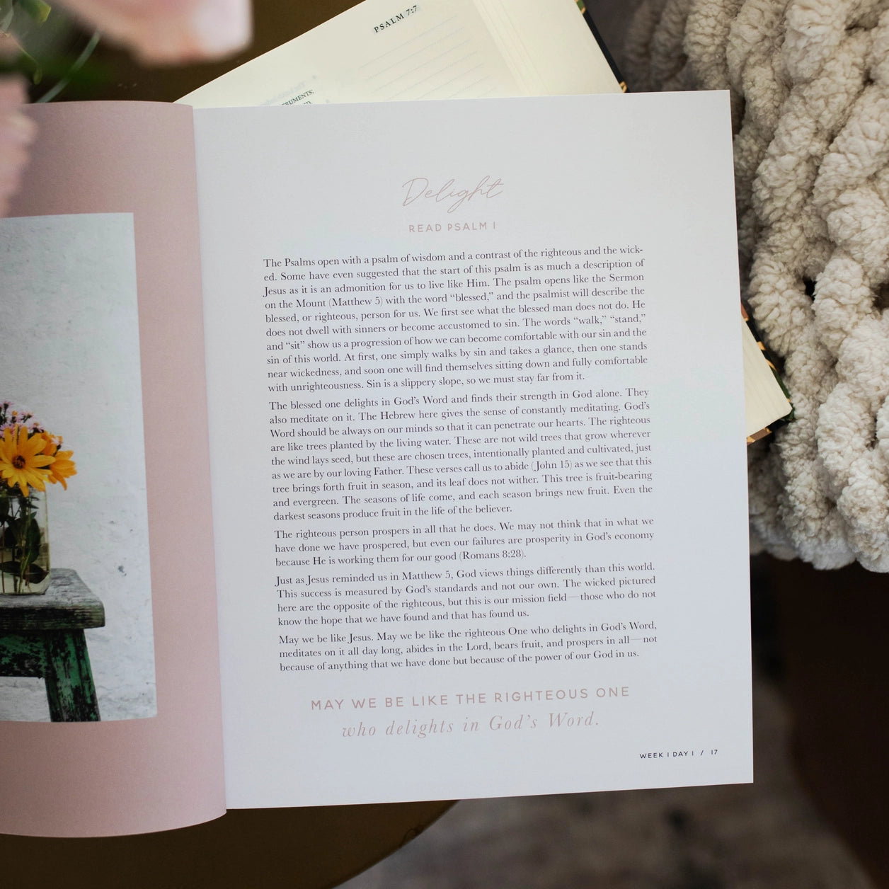 Delight Bible Study - Michigan Southern Charm