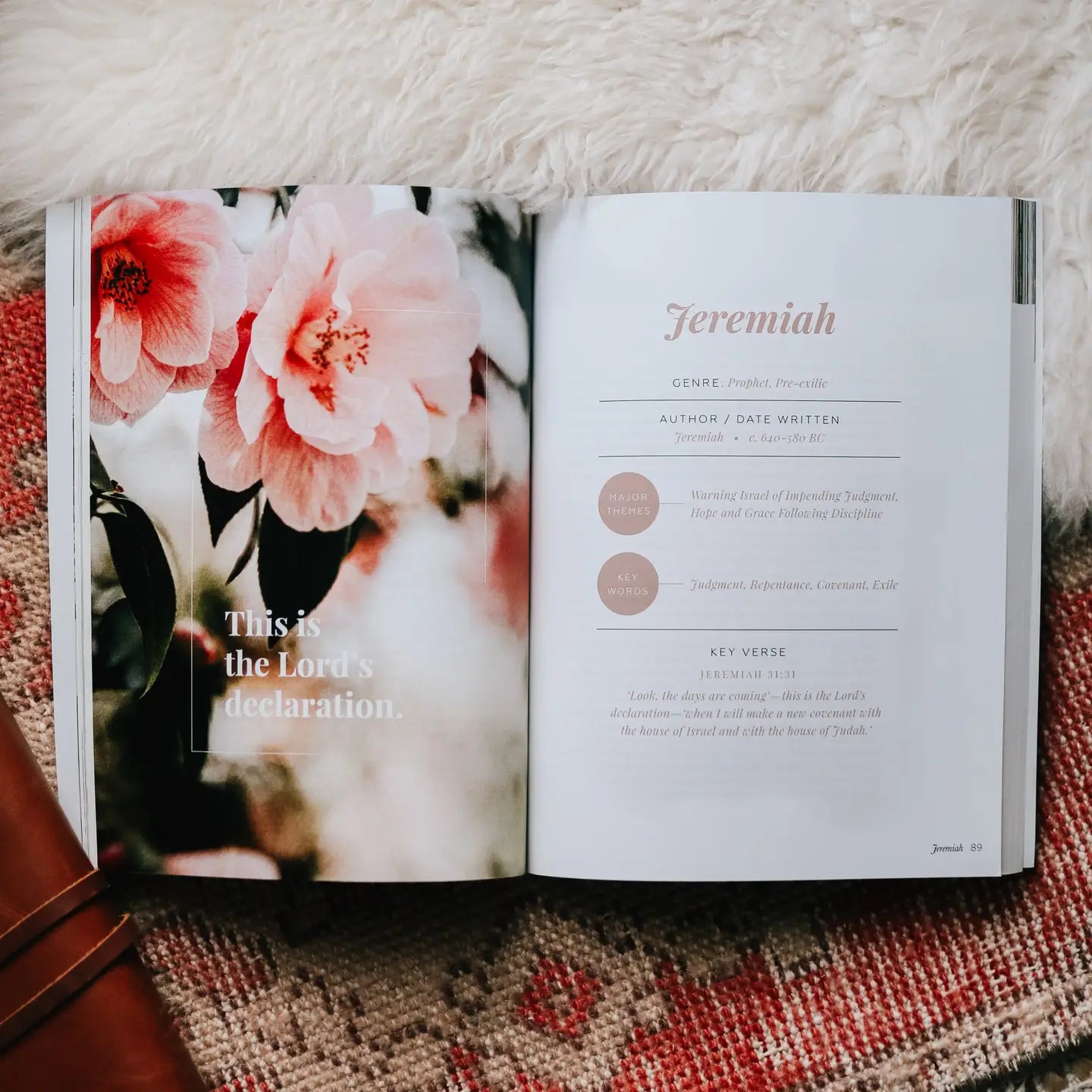 The Story of Redemption | Volume 3 Bible Study - Michigan Southern Charm