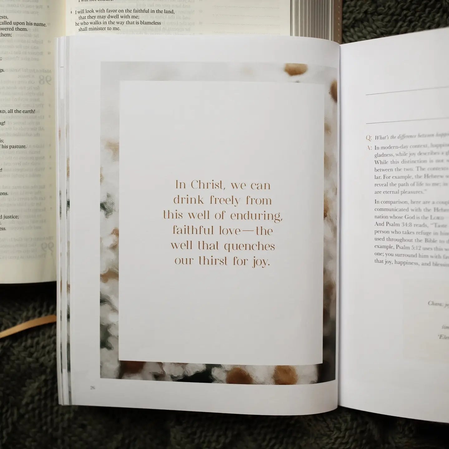 A Joy That Endures Bible Study - Michigan Southern Charm