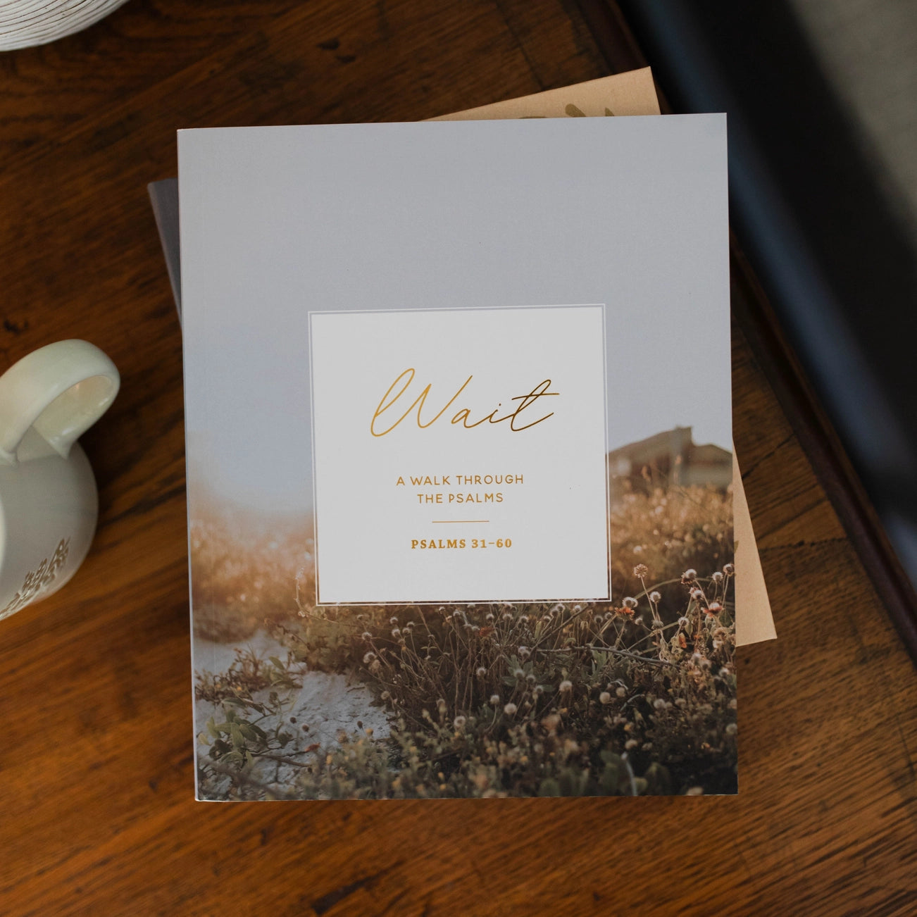 Wait - Psalms 31-60 Bible Study