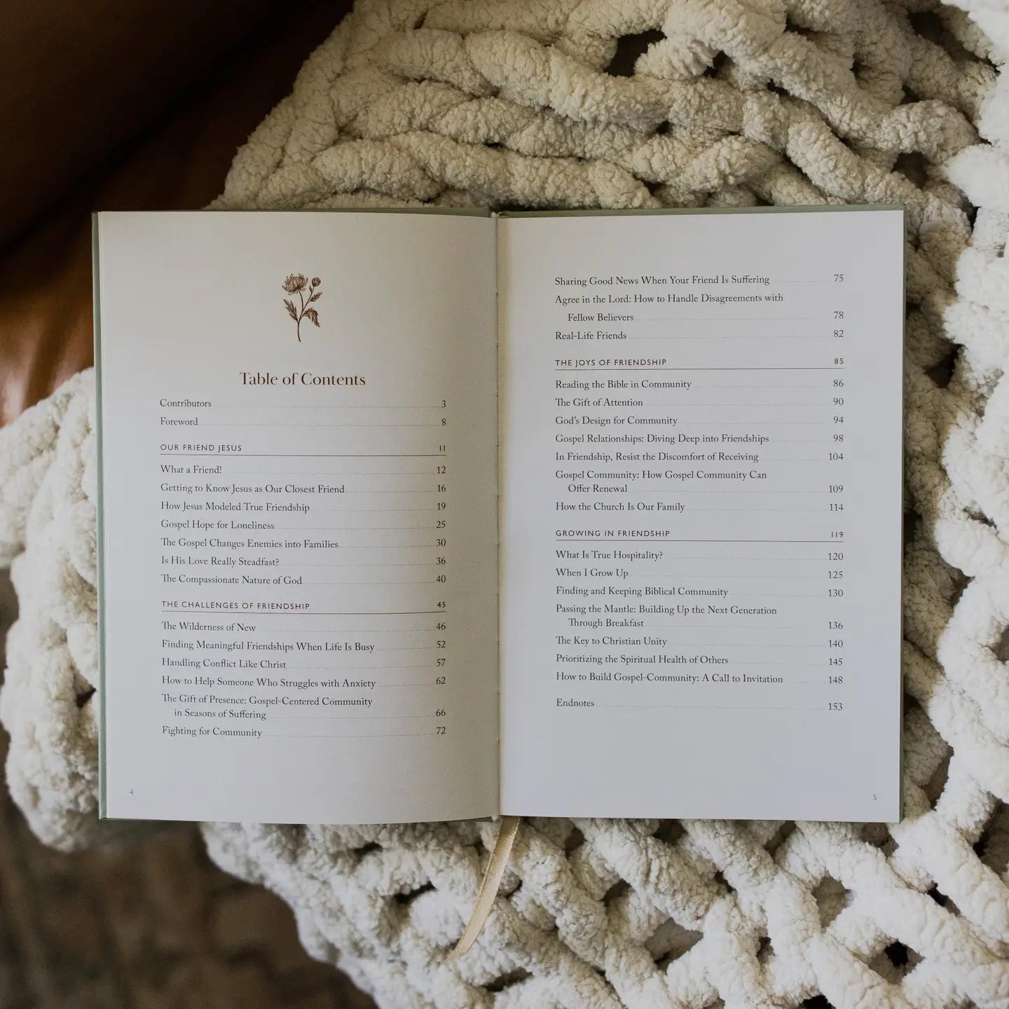 What A Friend We Have in Jesus Devotional - Michigan Southern Charm