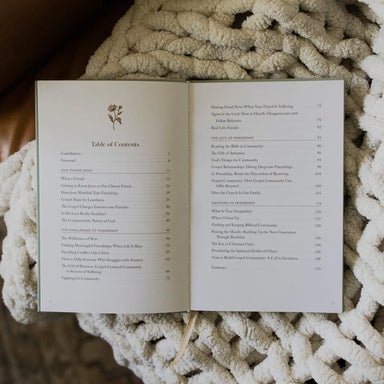 What A Friend We Have in Jesus Devotional - Michigan Southern Charm