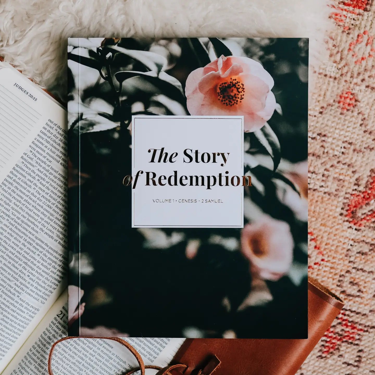 The Story of Redemption | Volume 1 Bible Study - Michigan Southern Charm
