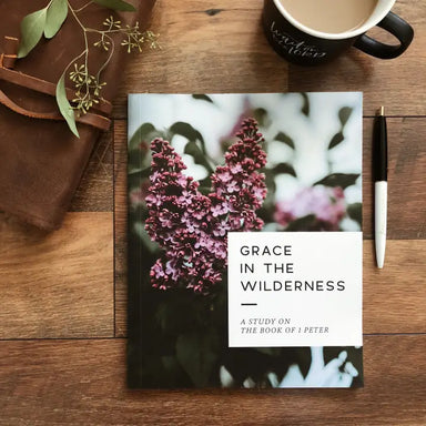 Grace in the Wilderness Bible Study - Michigan Southern Charm