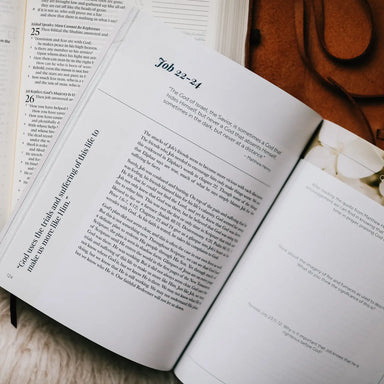The Story of Redemption | Volume 2 Bible Study - Michigan Southern Charm