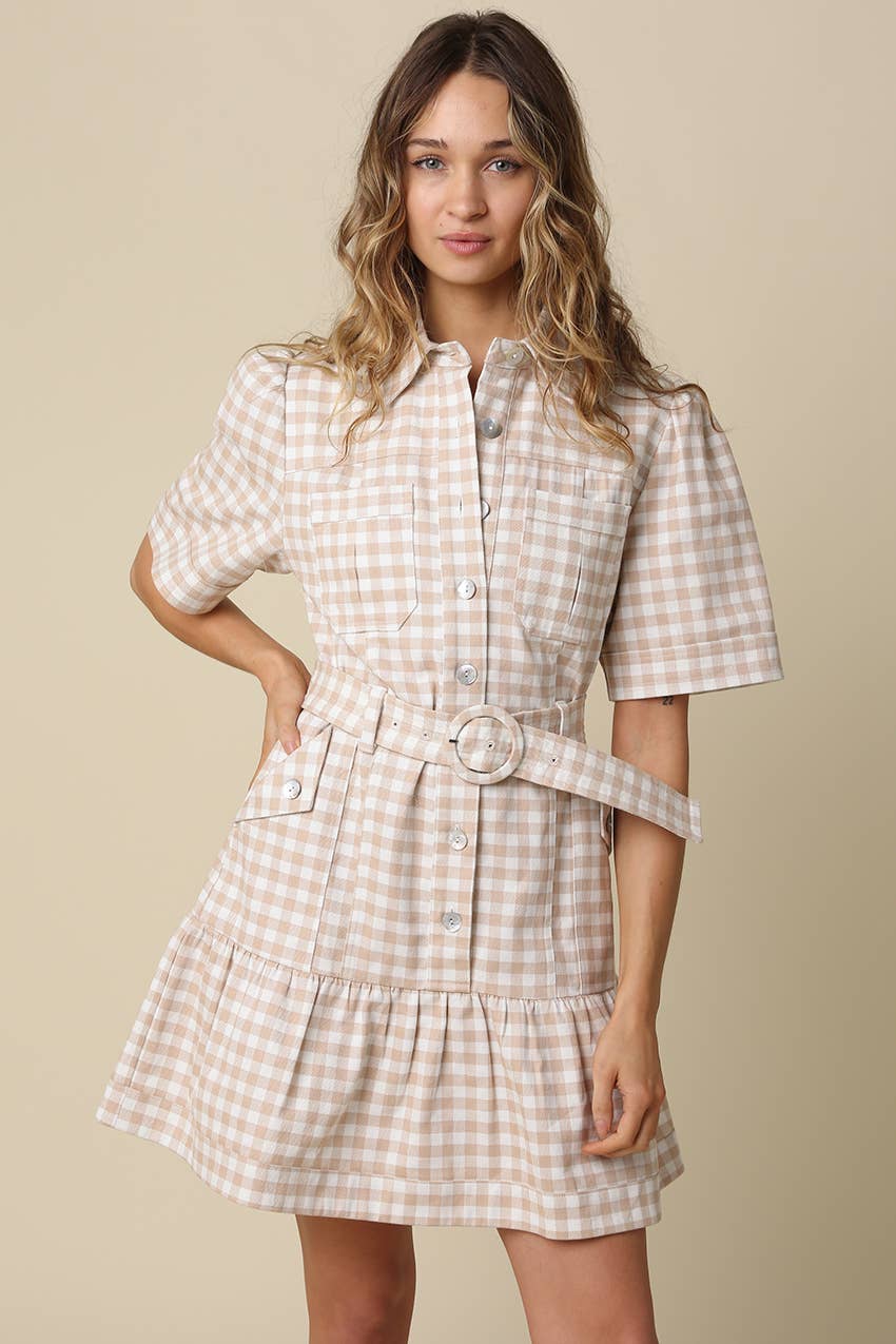Eliza Gingham Belted Shirt Dress