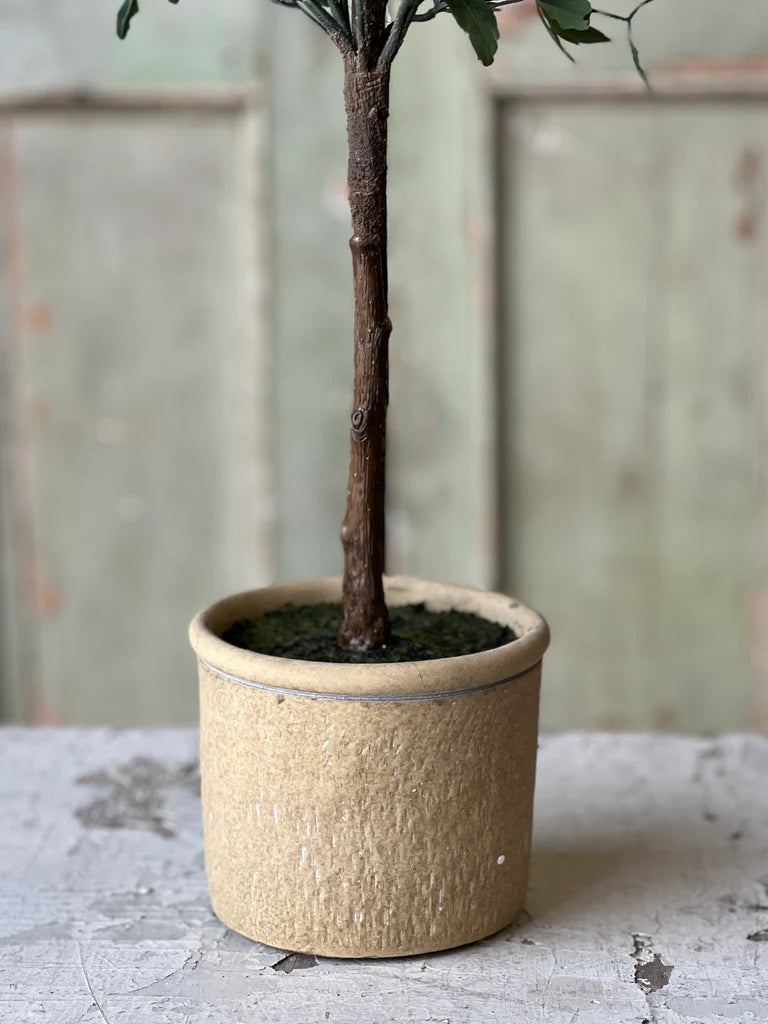 Darley Lavender Pot 26"