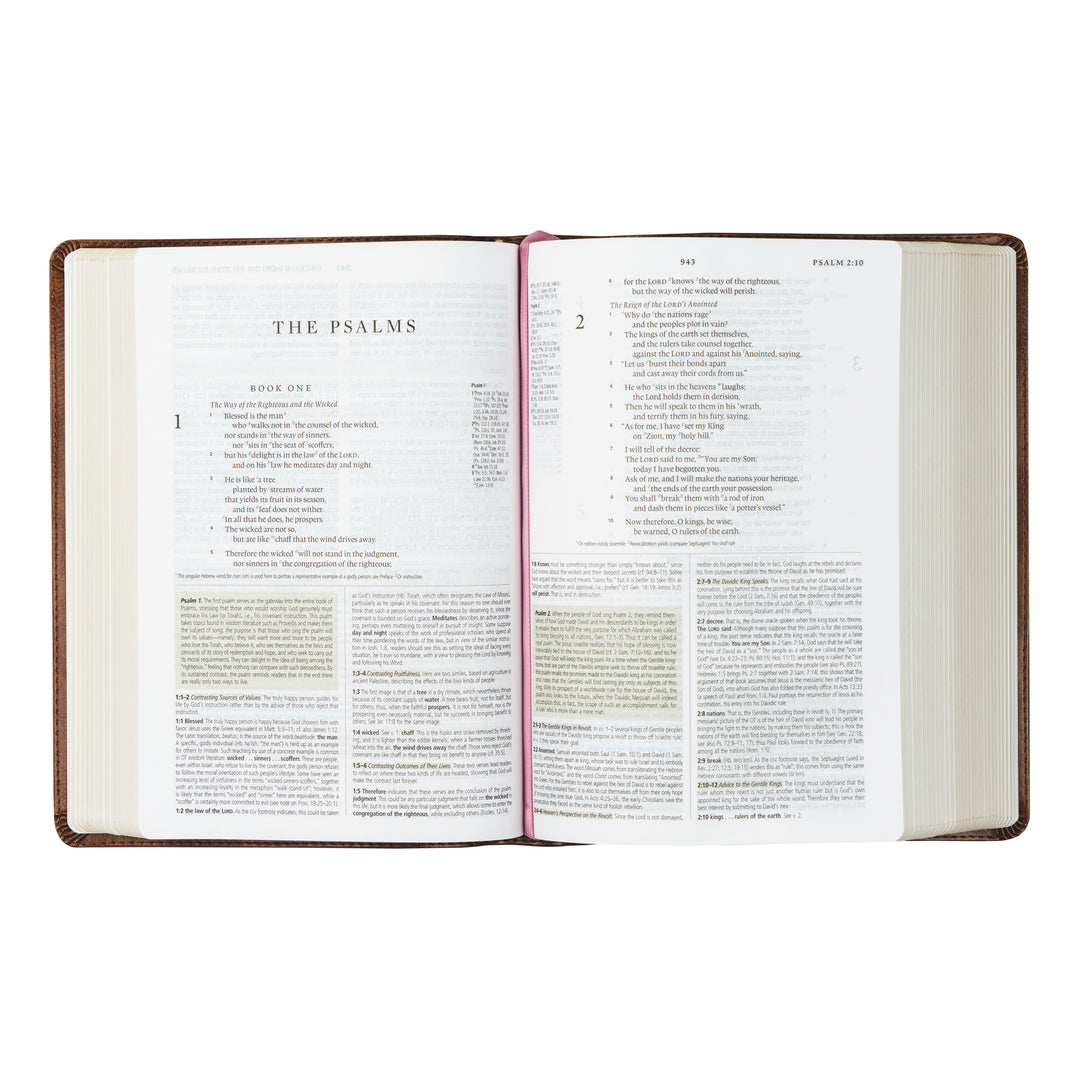 Aurora ESV Study Bible