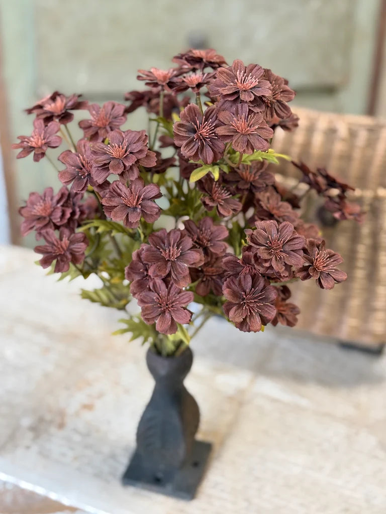 Courtland Cosmos | 16" | Umber