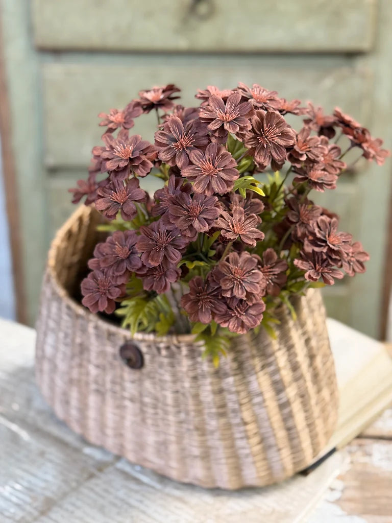 Courtland Cosmos | 16" | Umber