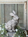 Sitting 12" Rabbit - Michigan Southern Charm