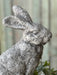 Sitting 12" Rabbit - Michigan Southern Charm
