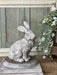 Sitting 12" Rabbit - Michigan Southern Charm
