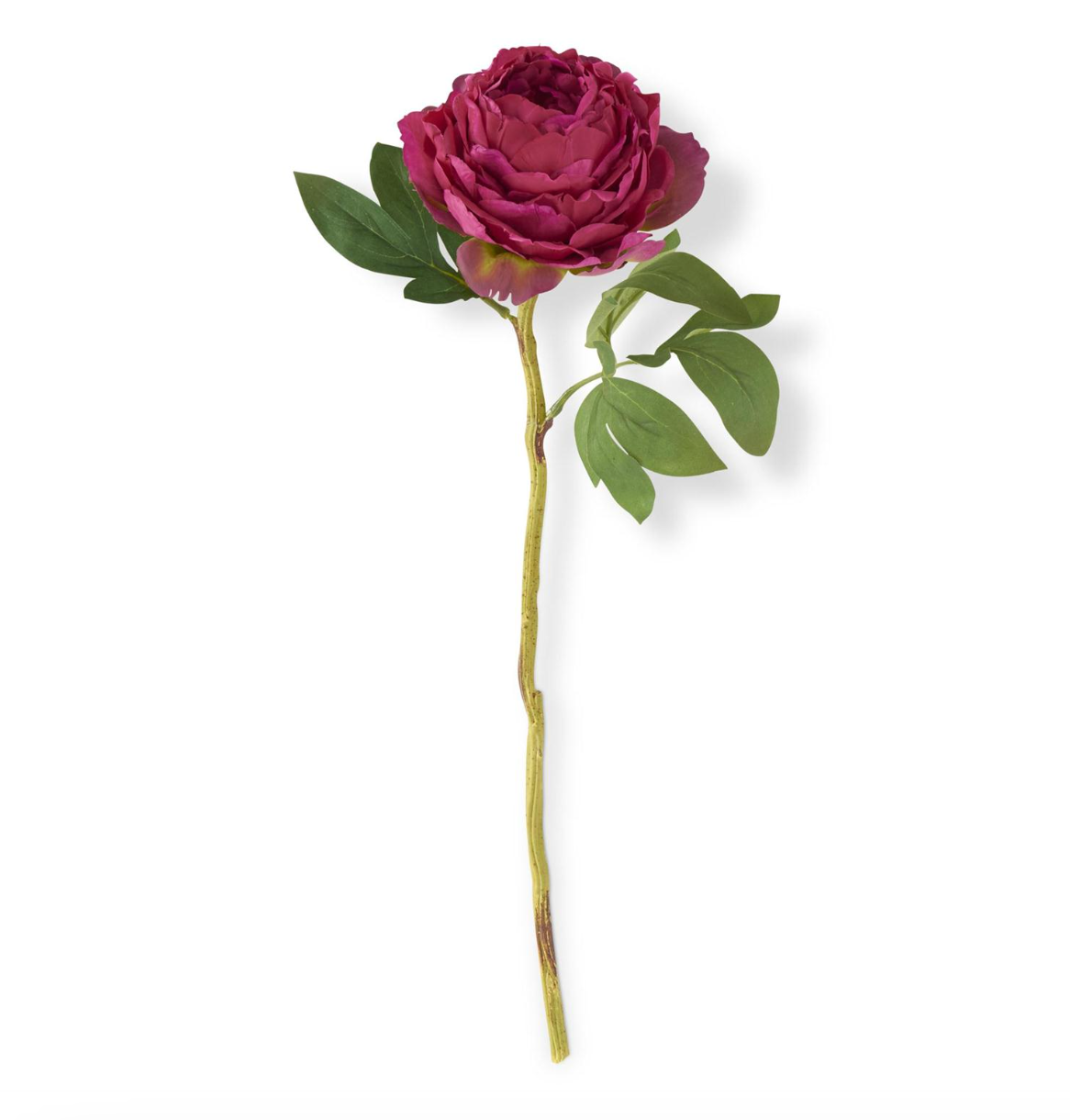 27 INCH FUCHSIA PEONY STEM