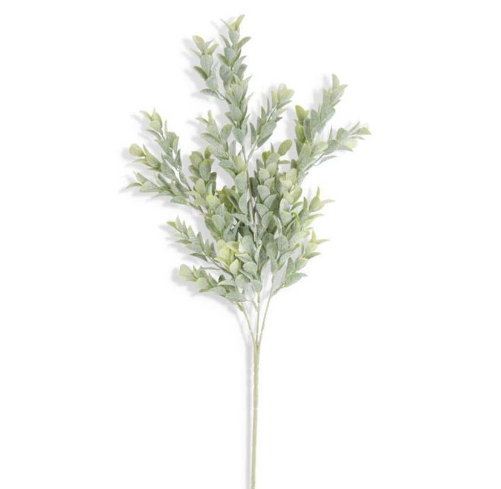 Powdered Boxwood Stem