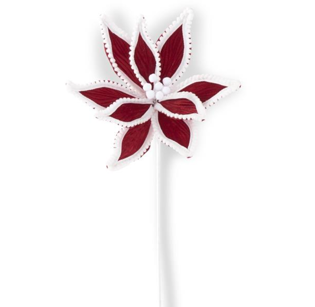 Red Velvet Poinsettia w/White Pom Pom Trim