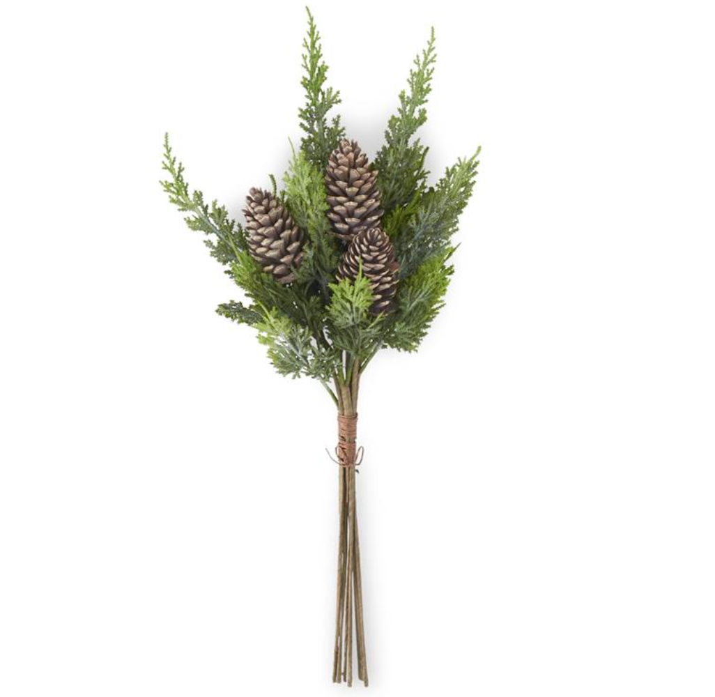 Cypress Pine Bundle w/Pinecones (7 Stems)