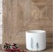 4" SKINNY TREES PLANTER - Michigan Southern Charm