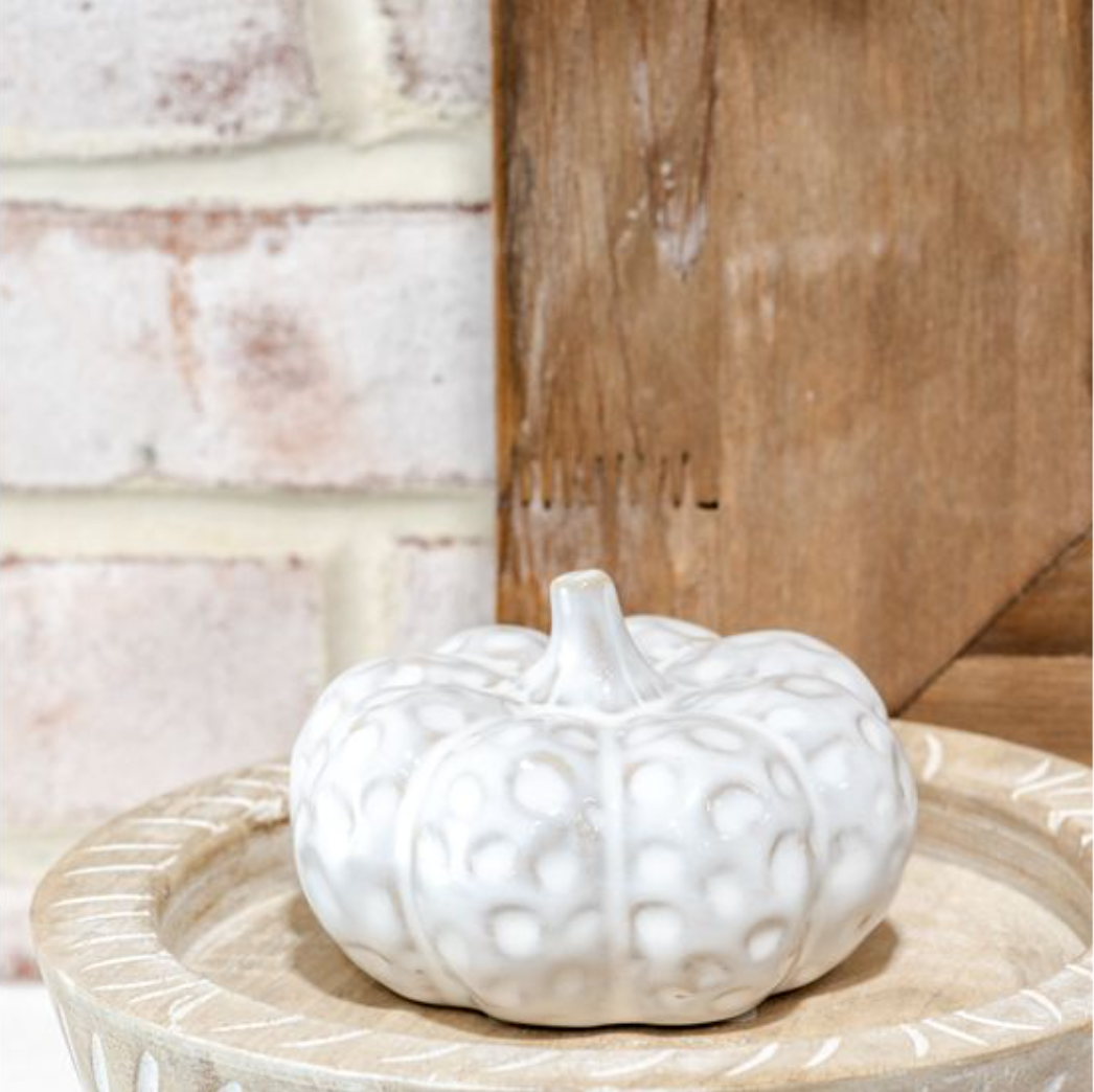 WHITE DIMPLE PUMPKIN - Michigan Southern Charm